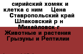 сирийский хомяк и клетка с ним  › Цена ­ 500 - Ставропольский край, Шпаковский р-н, Михайловск г. Животные и растения » Грызуны и Рептилии   